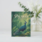 Carte Postale Palawan Philippines (Debout devant)