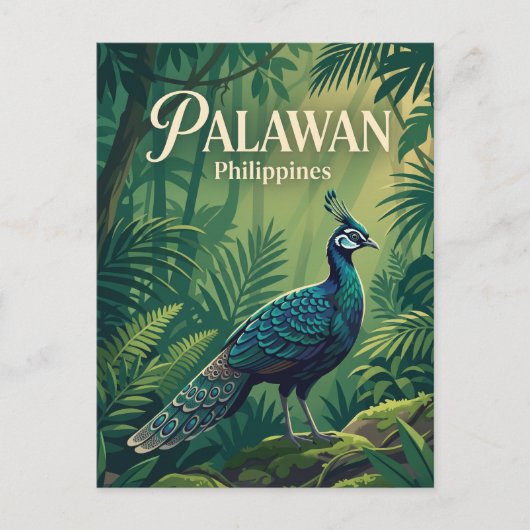 Carte Postale Palawan Philippines (Devant)