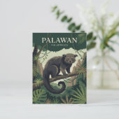 Carte Postale Palawan Philippines (Debout devant)