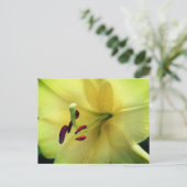 Carte Postale Pale Yellow Lily Flower Photography (Debout devant)