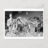 Paléontologie Scientifique Baby Dinosaur Vintage