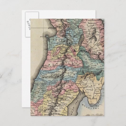 Carte Postale Palestine 2 (Devant / Derrière)