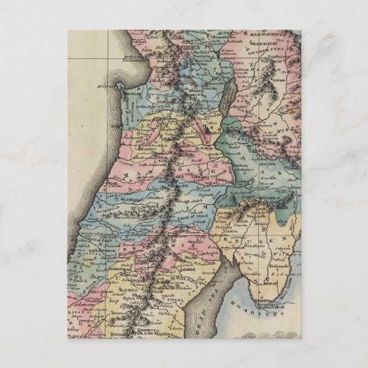 Carte Postale Palestine 2 (Devant)