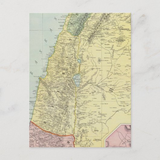Carte Postale Palestine 4 (Devant)