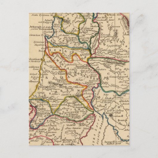 Carte Postale Palestine 5 (Devant)