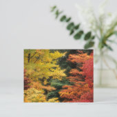 Carte Postale Palette Automne (Debout devant)