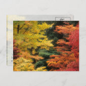 Carte Postale Palette Automne (Devant / Derrière)