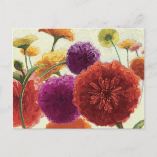 Carte Postale Palette pure Zinnias (Devant)