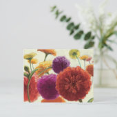 Carte Postale Palette pure Zinnias (Debout devant)