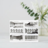 Carte Postale Palisade conceptions, de 'Théorie et Pratique de G (Debout devant)