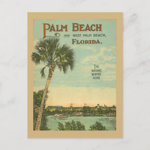 Carte Postale Palm Beach Floride Tourisme Vintage