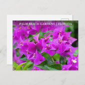 Carte Postale Palm Beach Gardens Floride Voyage Floride (Devant / Derrière)