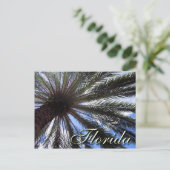 Carte Postale Palm de Floride (Debout devant)