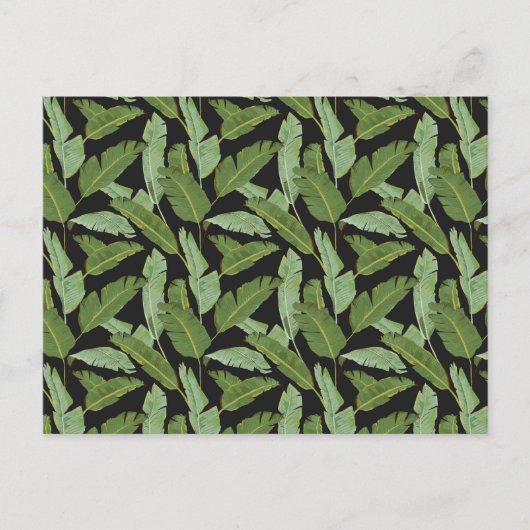 Carte Postale Palm Feuilles 2 (Devant)