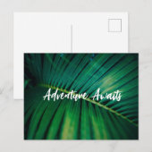 Carte postale Palm Leaf (Devant / Derrière)