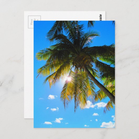 Carte Postale Palm Paradise Ciel Bleu Soleil (Devant / Derrière)