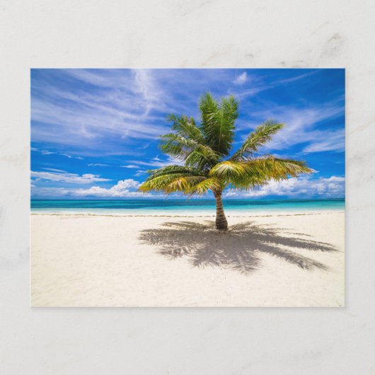 Carte Postale Palm sur la plage de sable blanc (Devant)