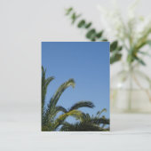 Carte postale Palm Tree (Debout devant)