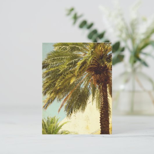 Carte postale Palm Tree (Debout devant)