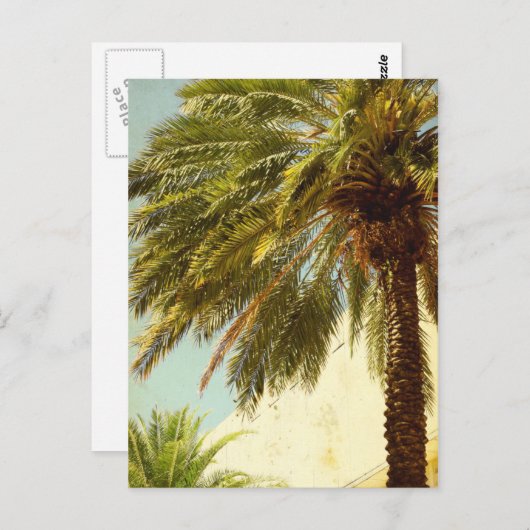 Carte postale Palm Tree (Devant / Derrière)
