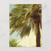 Carte postale Palm Tree (Devant)