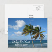 Carte postale Palm Tree (Devant / Derrière)