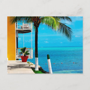 Carte Postale Palm Tree At The Front Yard of A House By The Sea