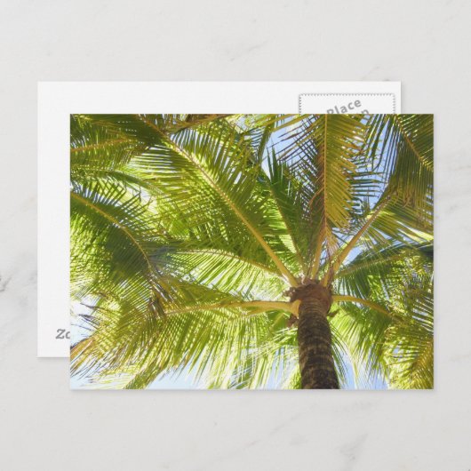 Carte postale Palm Tree Beach (Devant / Derrière)