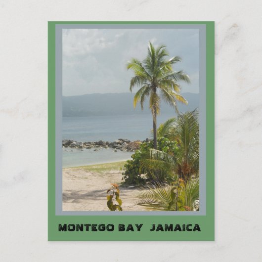 Carte Postale Palm Tree, Montego Bay Jamaica  (Devant)