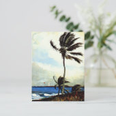 Carte Postale 'Palm Tree-Nassau' (Debout devant)