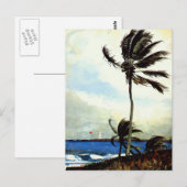 Carte Postale 'Palm Tree-Nassau' (Devant / Derrière)