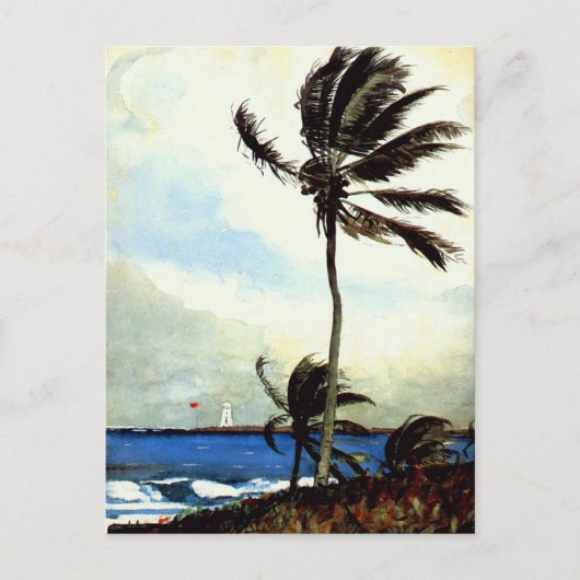 Carte Postale 'Palm Tree-Nassau' (Devant)