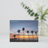 Carte Postale Palm Tree Party - 🤩Manhattan Beach (Debout devant)