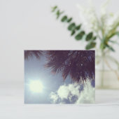 Carte Postale Palm Tree & Sun (Debout devant)