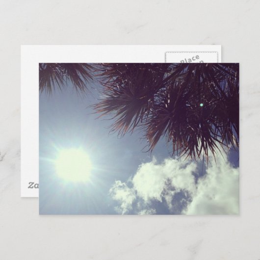 Carte Postale Palm Tree & Sun (Devant / Derrière)