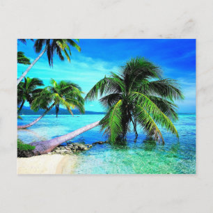 Carte Postale Palm Tree Tropical Island Beach