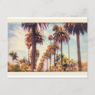 Carte postale Palm Tree vintage