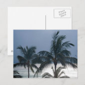 Carte Postale Palm Trees (Devant / Derrière)