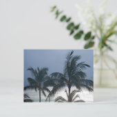 Carte Postale Palm Trees (Debout devant)
