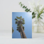 Carte postale Palm Trees (Debout devant)