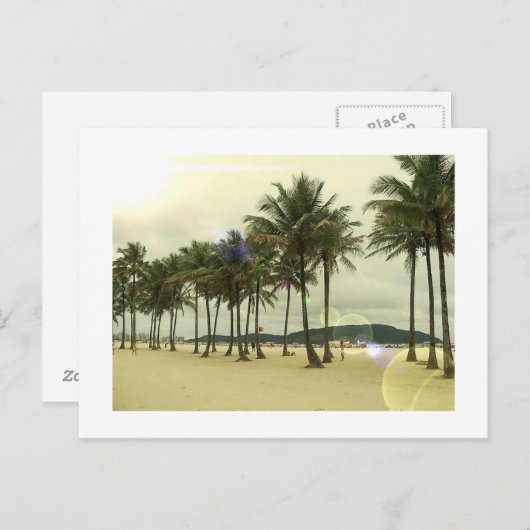 Carte postale Palm Trees Beach (Devant / Derrière)