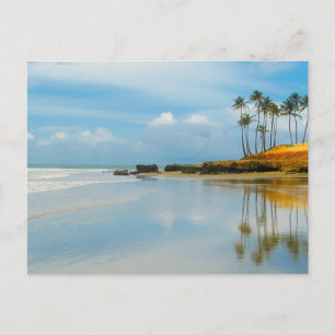 Carte Postale Palm Tropical Beach Côté Destiny