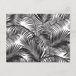 Carte Postale Palm tropical noir