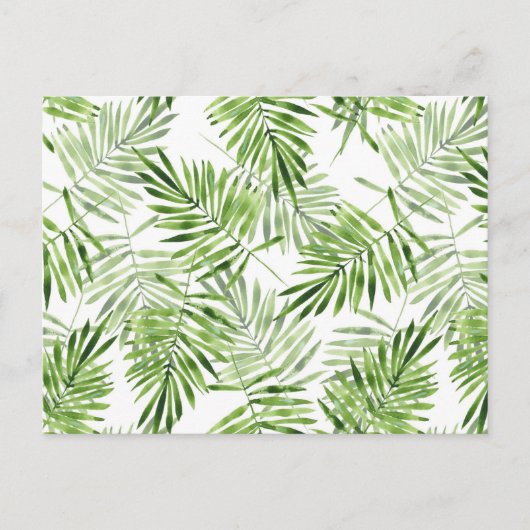 Carte Postale Palm vert Feuilles (Devant)