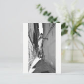 Carte Postale Palma de Las blancas (Debout devant)