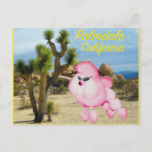 Carte postale Palmdale California Pink Poodle
