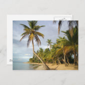 Carte Postale Palme Crochée (Devant / Derrière)