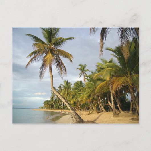 Carte Postale Palme Crochée (Devant)