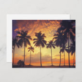 Carte Postale Palme de soleil (Devant / Derrière)