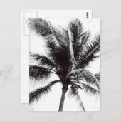 Carte Postale Palme noire et blanche (Devant / Derrière)